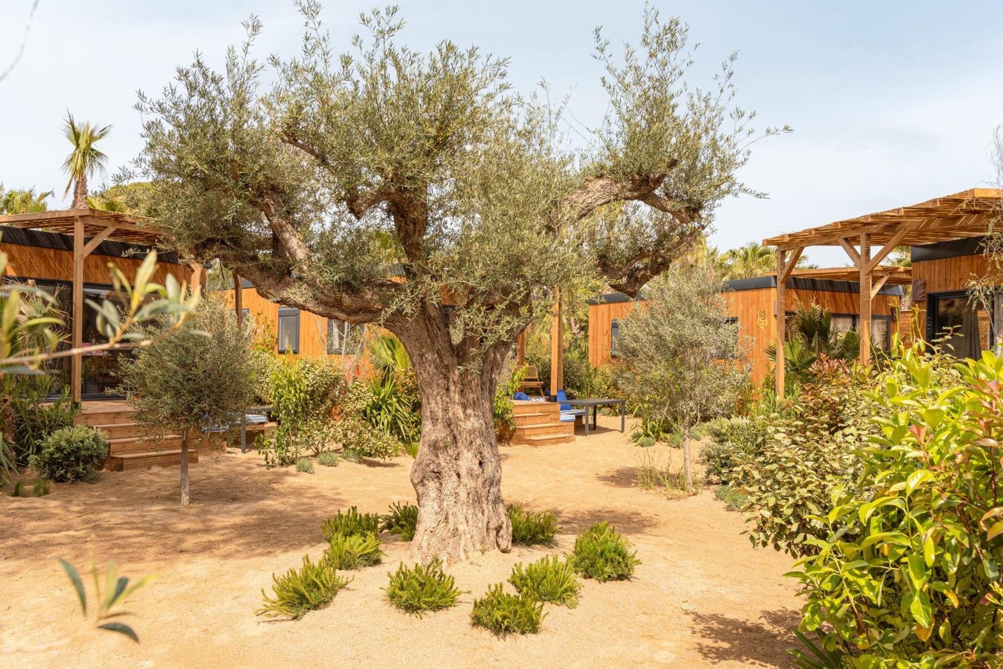 Parco vacanze Toison D'or 5*
